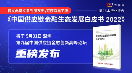 實業投資 大消費領域的堅實基石與未來機遇