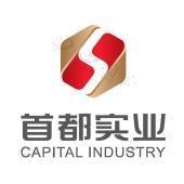 實(shí)業(yè)投資 首都實(shí)業(yè)投資的戰(zhàn)略選擇與未來(lái)展望